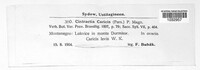 Anthracoidea caricis image